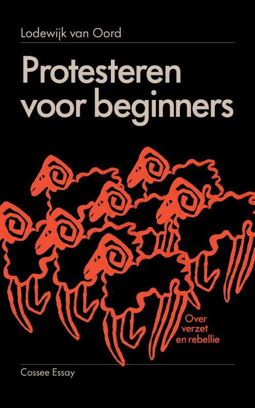 Omslag van boek: Protesteren voor beginners