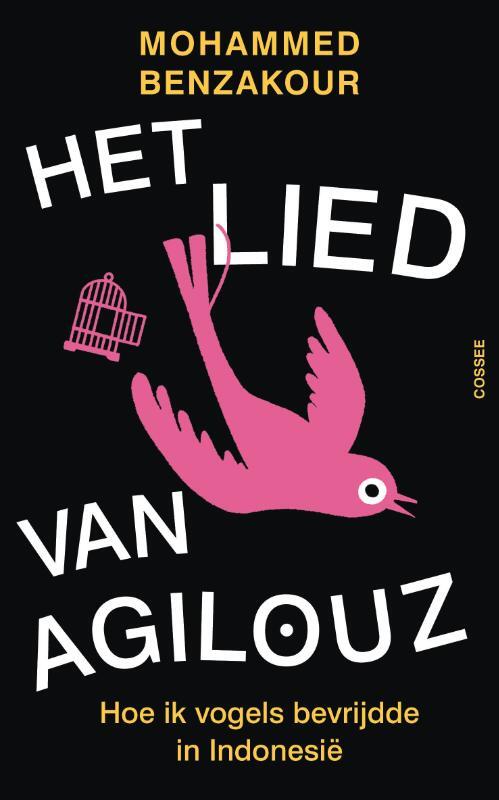 Omslag van boek: Het lied van Agilouz